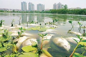 深圳水質(zhì)檢測(cè)機(jī)構(gòu) 深圳水質(zhì)檢測(cè)機(jī)構(gòu)